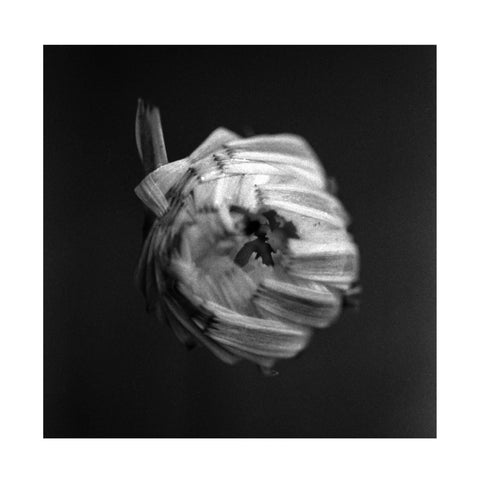 A Swarm Of The Sun - An Empire 2LP
