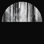 Cult Of Luna - Vertikal II LP