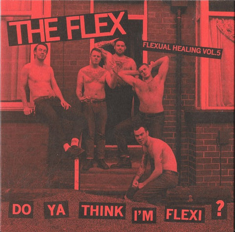 The Flex - Flexual Healing Vol.5 7"