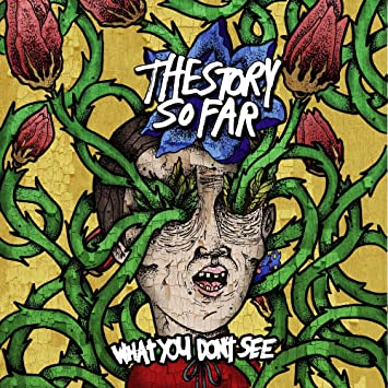 The Story So Far - What You Don't See [LP]